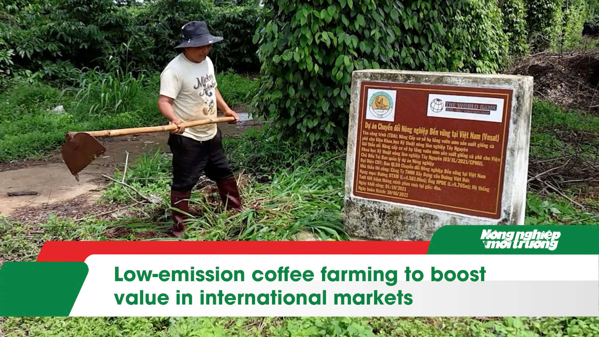 Low-emission coffee farming to boost value in international markets